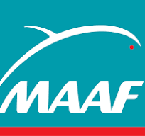 Maaf